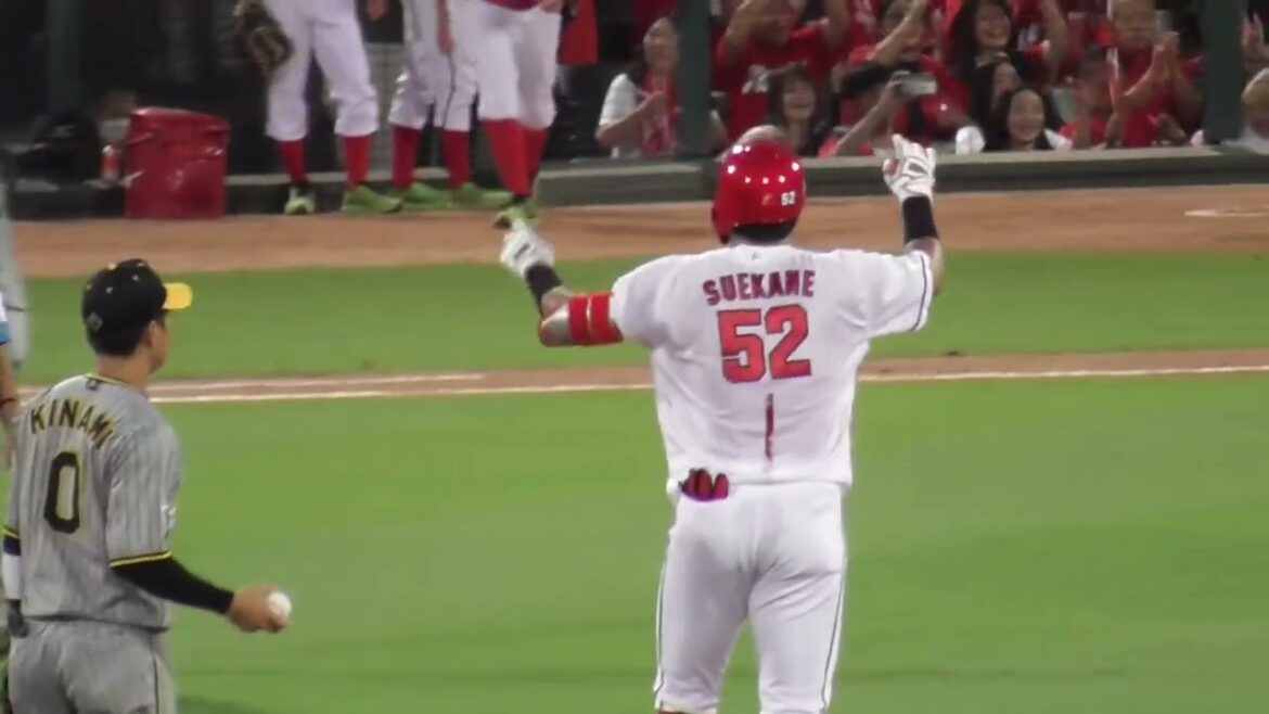 3回、末包昇大が4番の仕事！ライトへの2点タイムリーツーベースでカープ先制！ 坂倉将吾、ストライク判定に飛び跳ね悔しいがる！かープ攻撃ハイライト！2024年8月24日