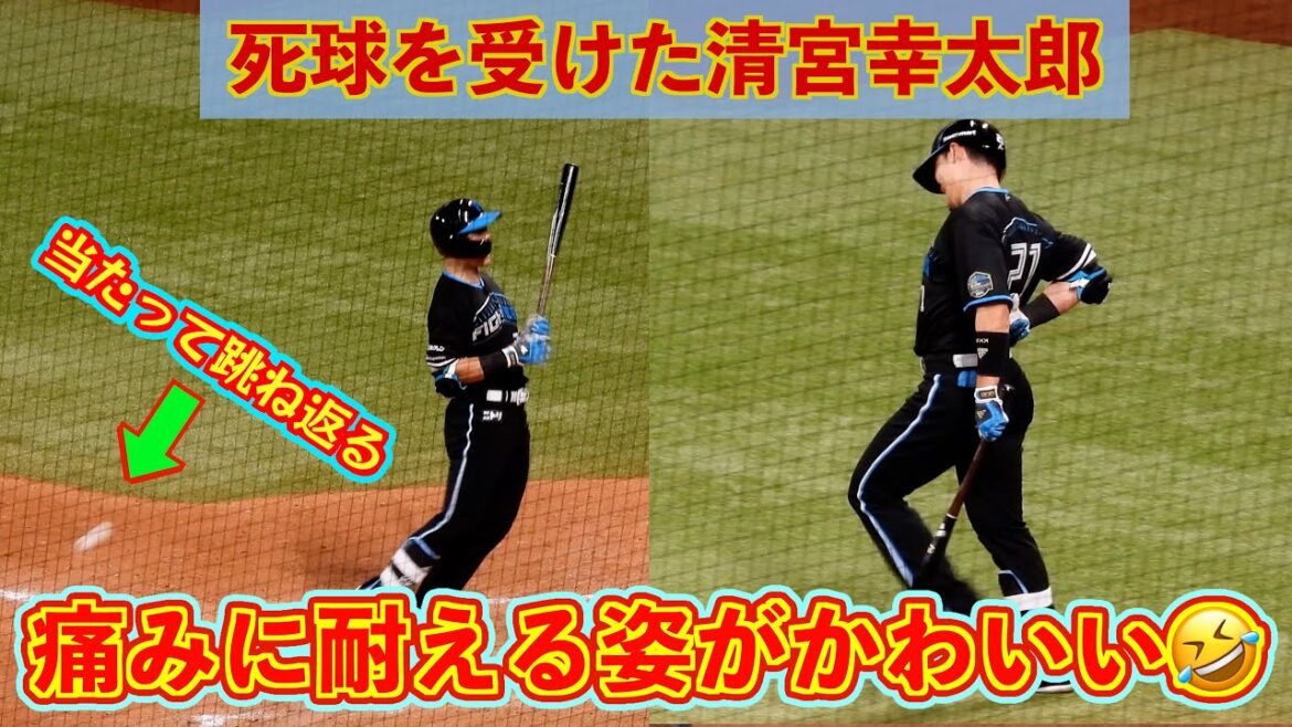 【20240828】死球受けた後の歩き方がかわいい清宮幸太郎🤣