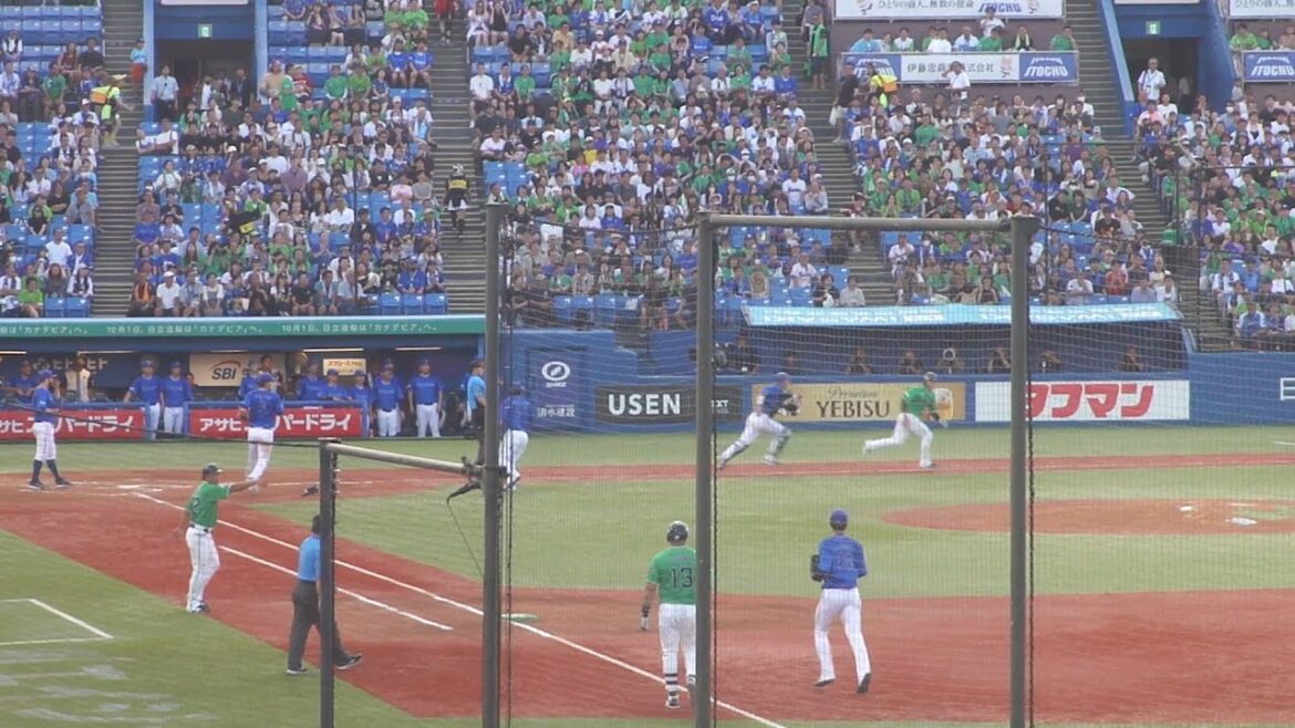 DeNA 林琢真 ナイスプレー 長岡秀樹オーバーランでタッチアウト　ヤクルト vs DeNA　2024年8月25日(日) 神宮球場