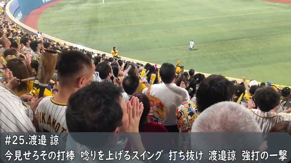 阪神タイガース　渡邉諒応援歌（歌詞付き）横浜DeNAベイスターズVS阪神タイガース　横浜スタジアム　2024.8.28