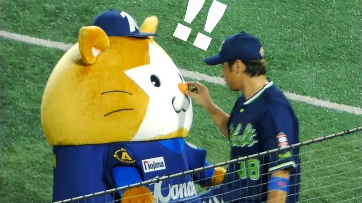 鼻を触られるDB.スターマン 🐹【横浜DeNAベイスターズ 2024/8/10】 鼻を触られるDB.スターマン 🐹【横浜DeNAベイスターズ 2024/8/10】