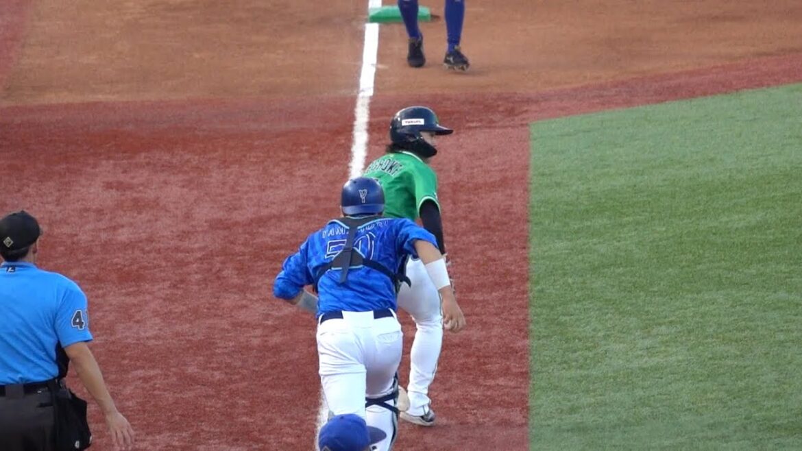 打線が繋がったと思いきや長岡秀樹が飛び出しまさかのアウト！東京ヤクルトスワローズvs横浜DeNAベイスターズ 2024/08/25