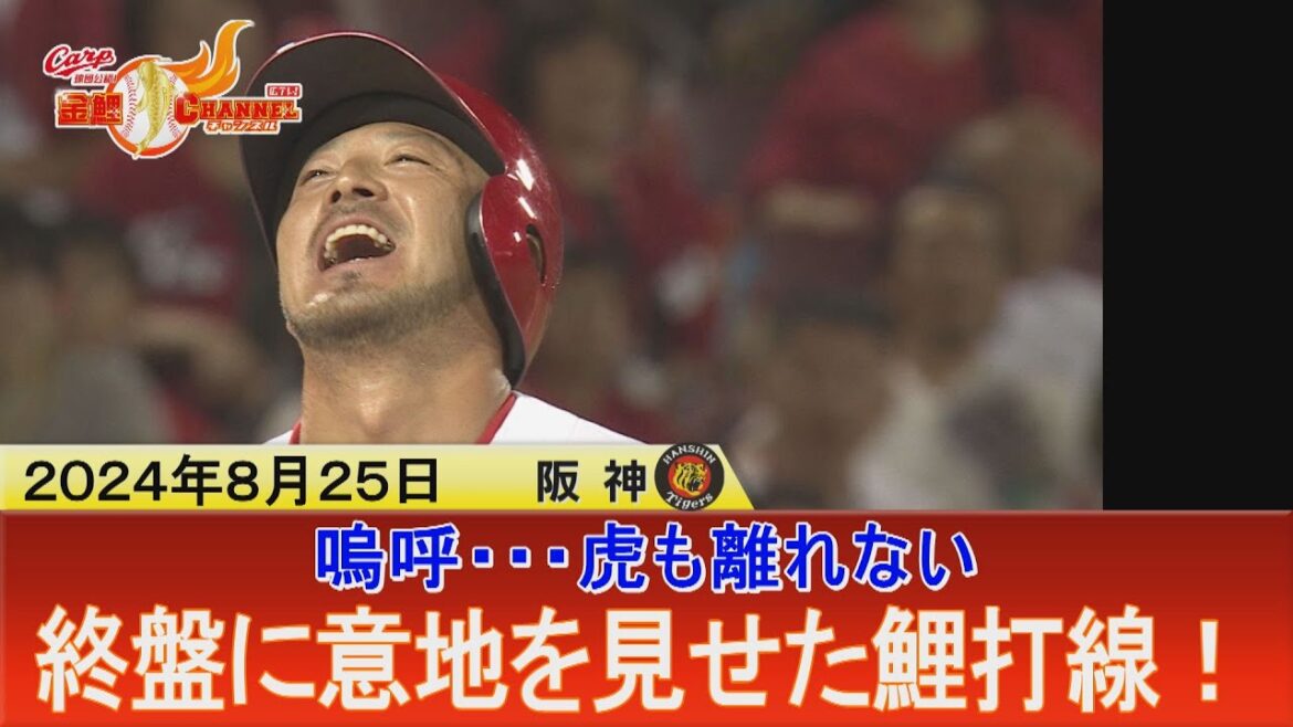 【嗚呼…虎よ】逆転負けも終盤意地見せた鯉打線【カープ公認】金鯉チャンネル /広テレ！