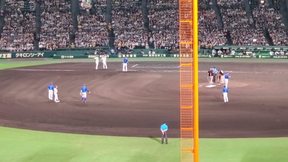 20240707　京山将弥がﾘﾘｰﾌ登板！　6回表　横浜DeNAﾍﾞｲｽﾀｰｽﾞ　BGMはｱﾚｱﾚｱﾚ♪　T-WAVEも流れます@阪神甲子園球場･ﾚﾌﾄ外野