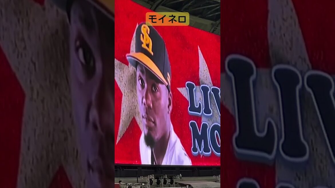 福岡ソフトバンクホークス　モイネロ