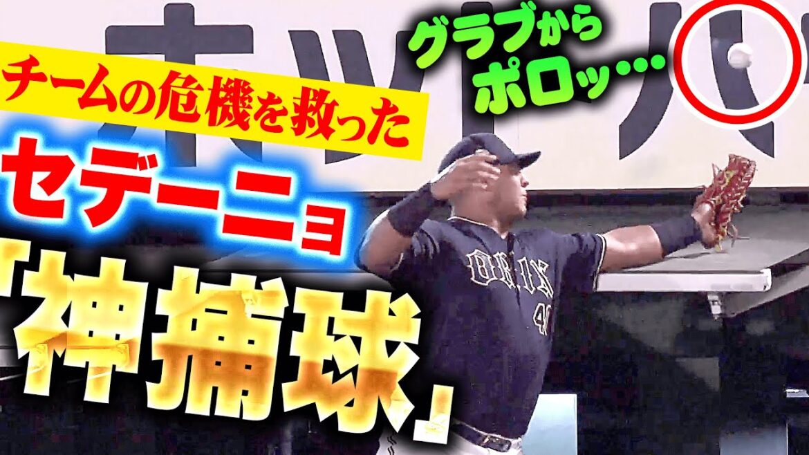 Pacific-League: 【レオは2度捕る】セデーニョ『先発・曽谷を救った神キャッチ!捕った本人も思わずバンザイ!』 【レオは2度捕る】セデーニョ『先発・曽谷を救った神キャッチ!捕った本人も思わずバンザイ!』
