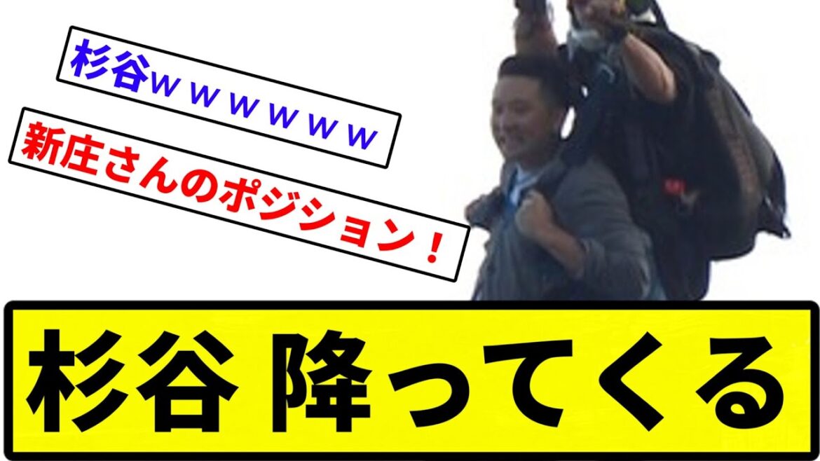 【新庄の継承者やな】杉谷 降ってくる【プロ野球反応集】【1分動画】【プロ野球反応集】