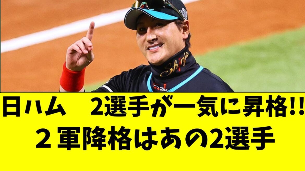【日ハム】この時期に待望の２選手が昇格！降格はあの２人