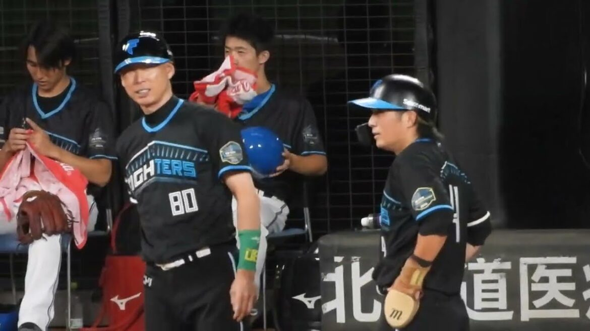 万波中正の勝ち越しタイムリーヒット炸裂‼︎レイエス、上川畑大悟、万波中正がチャンスを作り上げる！！エスコンフィールド北海道日本ハムファイターズ