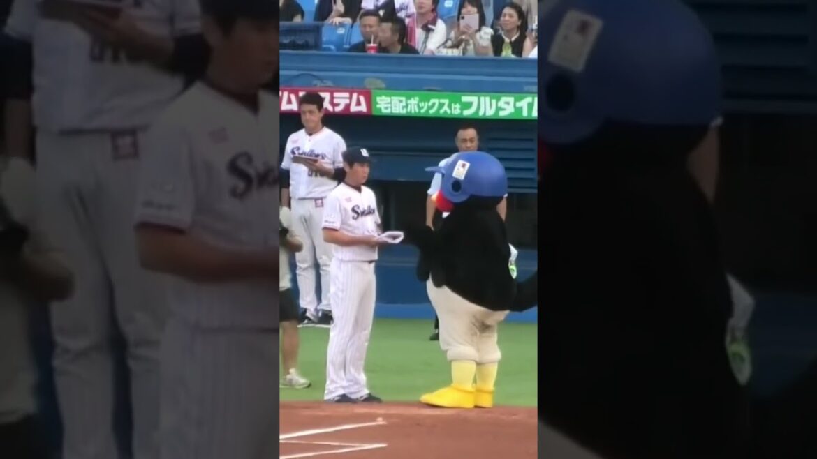 つば九郎、川端慎吾さんに着せてもらうのをおねだりする #つば九郎 #東京ヤクルトスワローズ #shorts