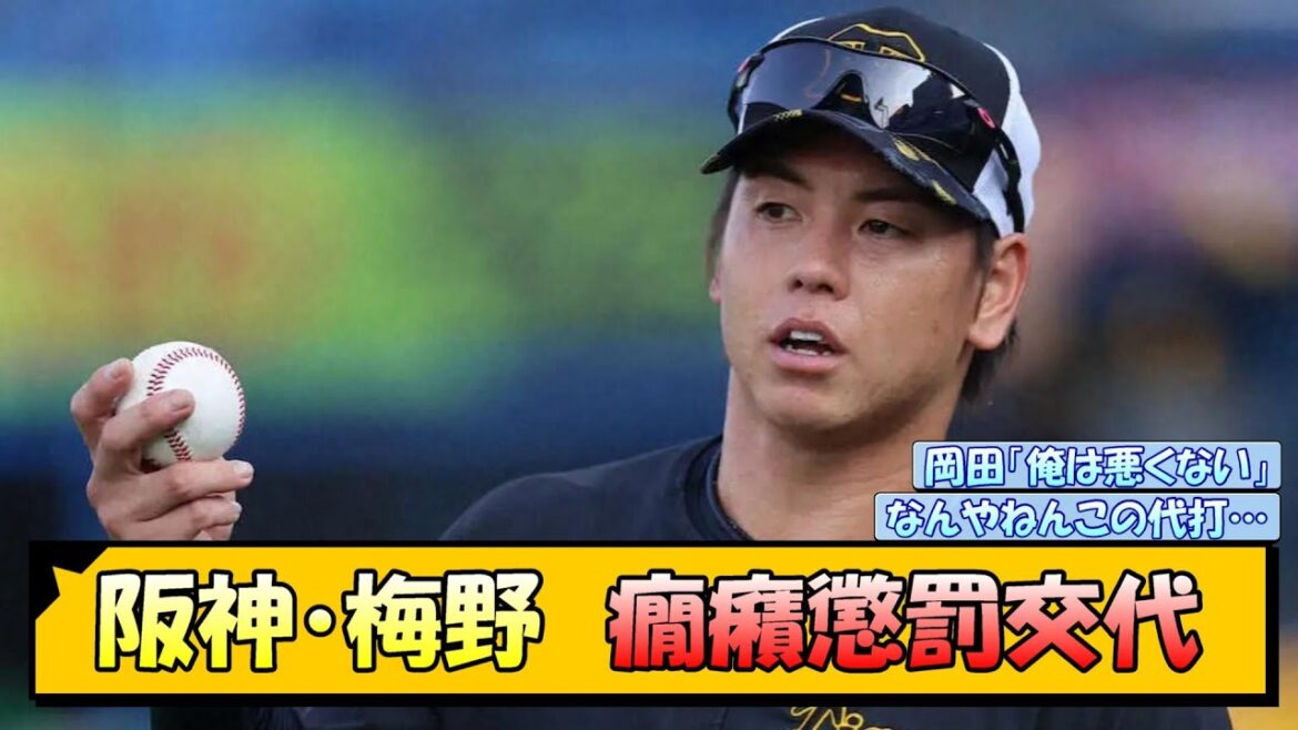 阪神・梅野　癇癪懲罰交代【なんJ/2ch/5ch/ネット 反応 まとめ/阪神タイガース/岡田監督/梅野隆太郎】