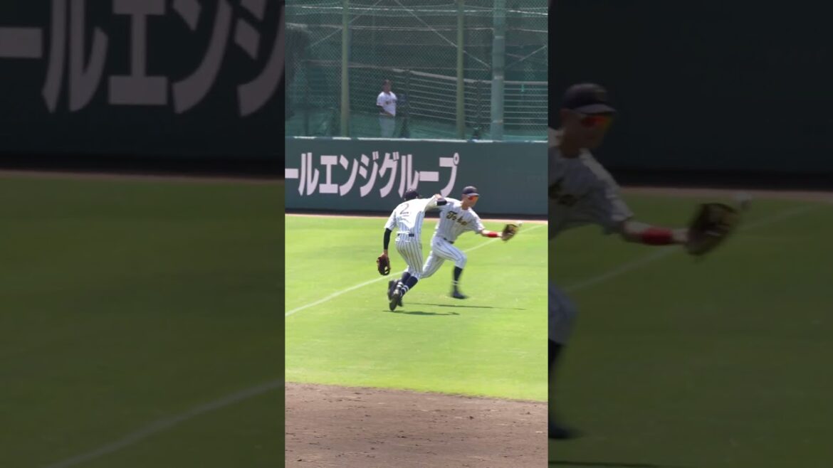 【プロ野球】このプレーはフェア?ファール? #shorts #baseball #sports #ジャイアンツ #巨人 #プロ野球 【プロ野球】このプレーはフェア?ファール? #shorts #baseball #sports #ジャイアンツ #巨人 #プロ野球