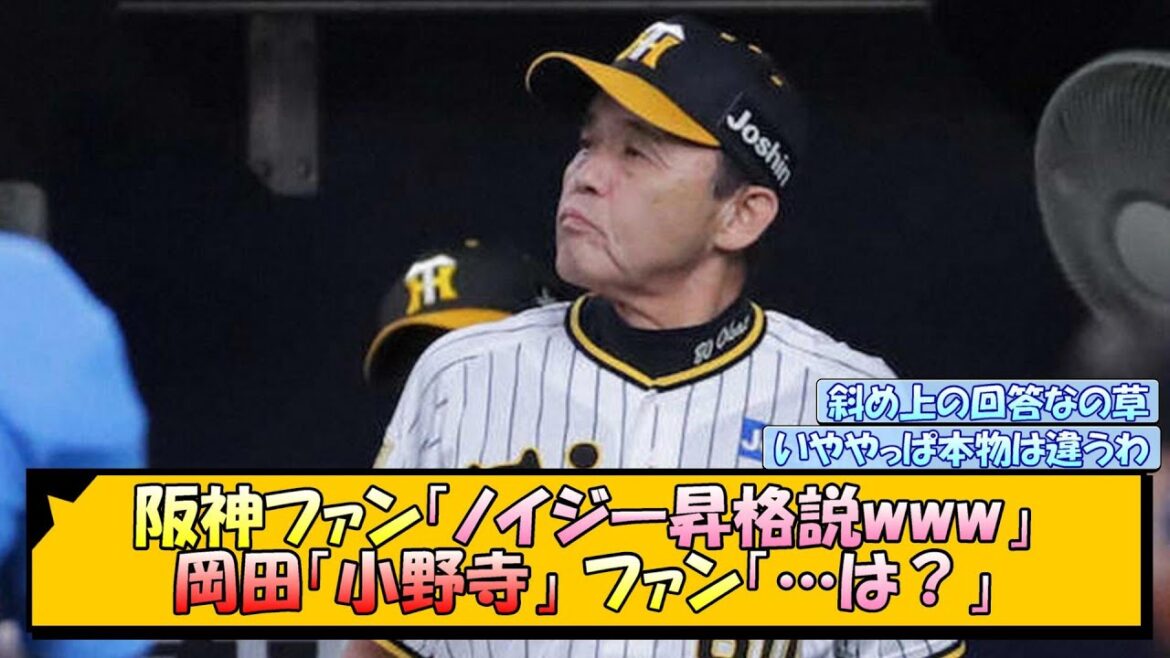 阪神ファン「ノイジー昇格説www」岡田「小野寺」ファン「…は？」【なんJ/2ch/5ch/ネット 反応 まとめ/阪神タイガース/岡田監督】