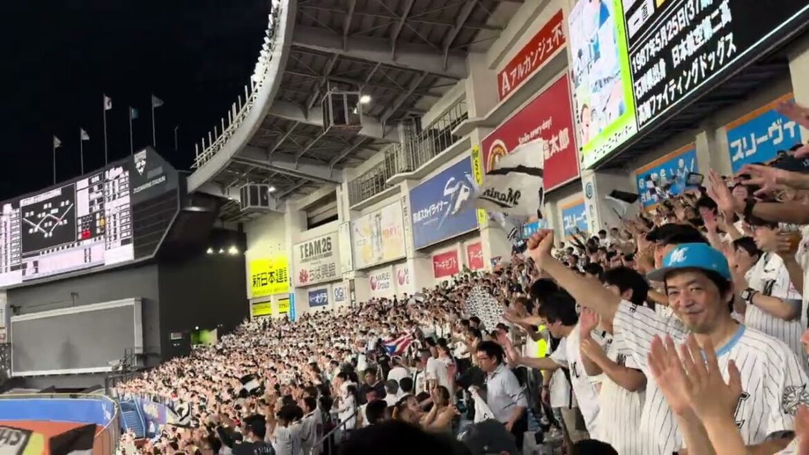 送球エラーで得点→角中勝也応援歌    2024/8/30 ロッテ vs ソフトバンク  #chibalotte