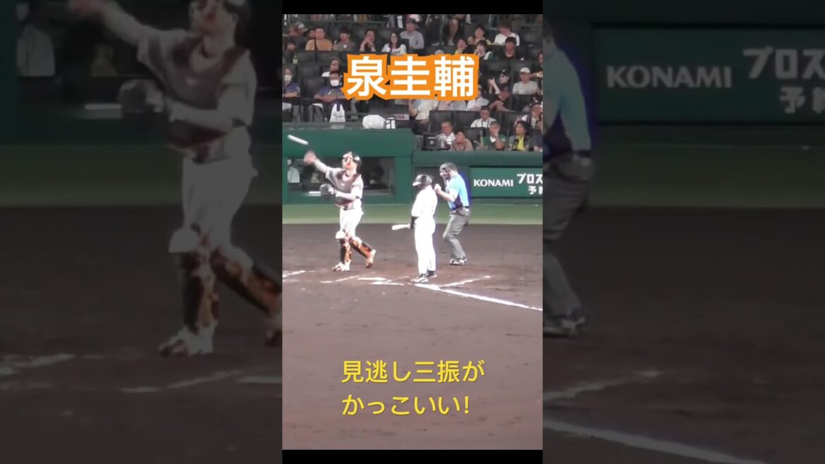 泉圭輔の見逃し三振シーンがカッコ良すぎる！ #泉圭輔 #読売ジャイアンツ