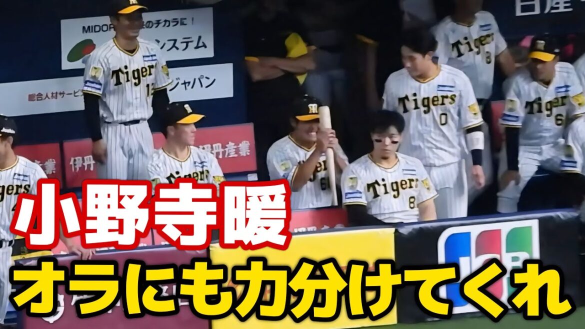 【その力俺にも分けてくれ！】坂本に促されて2安打の西勇輝のバットからパワーをもらう小野寺暖 2024.8.21