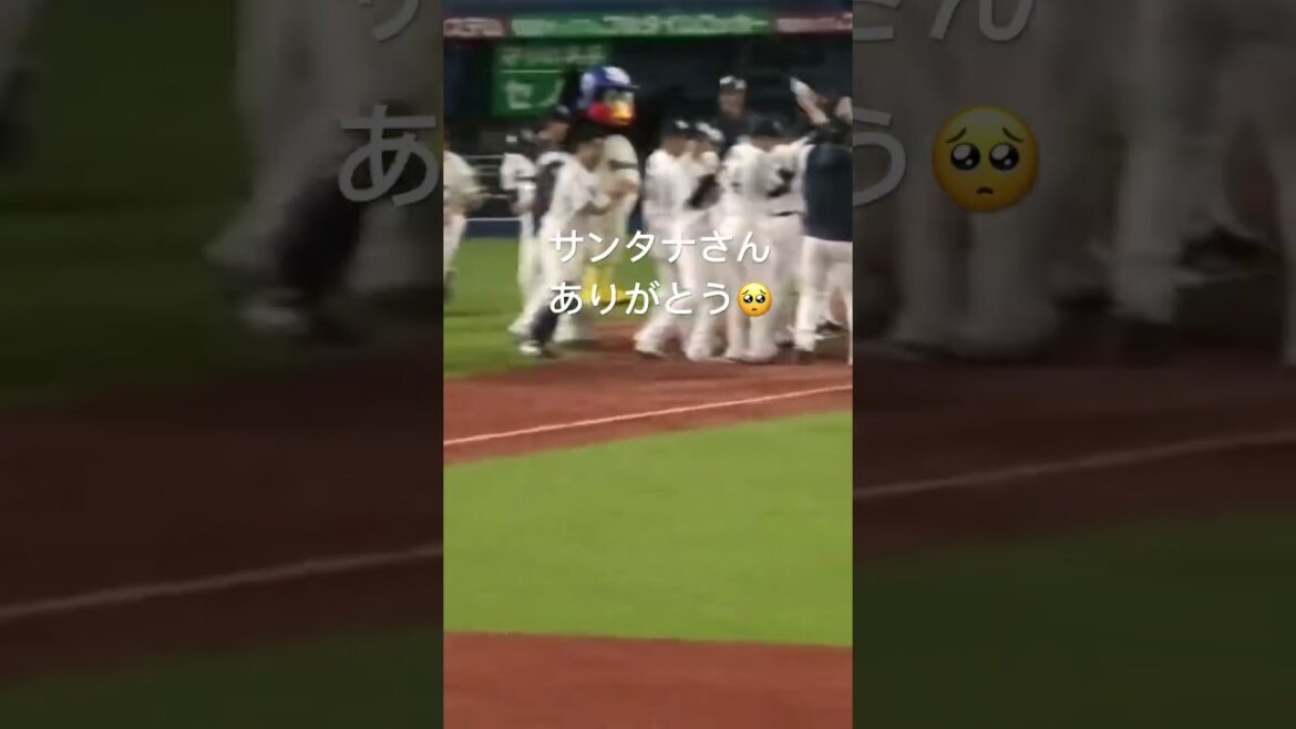 つば九郎、サヨナラホームランをぶち込んだサンタナを出迎える #つば九郎 #東京ヤクルトスワローズ #shorts