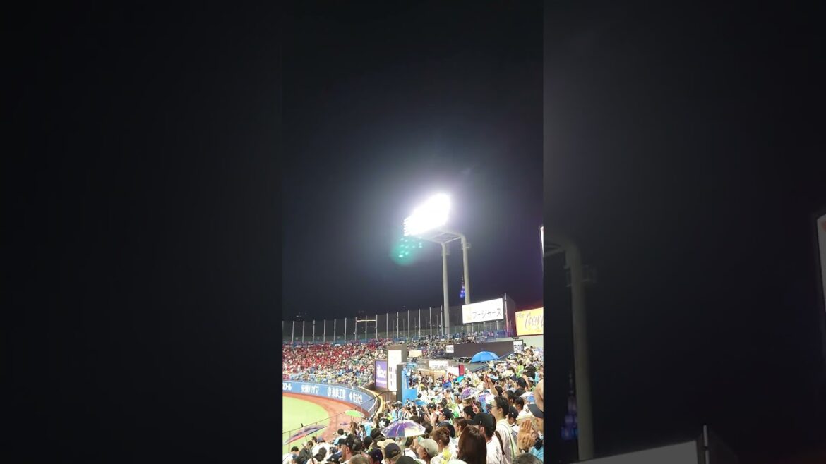 8/17 とびだせヤクルトスワローズ‼️ #ヤクルトスワローズ #広島カープ