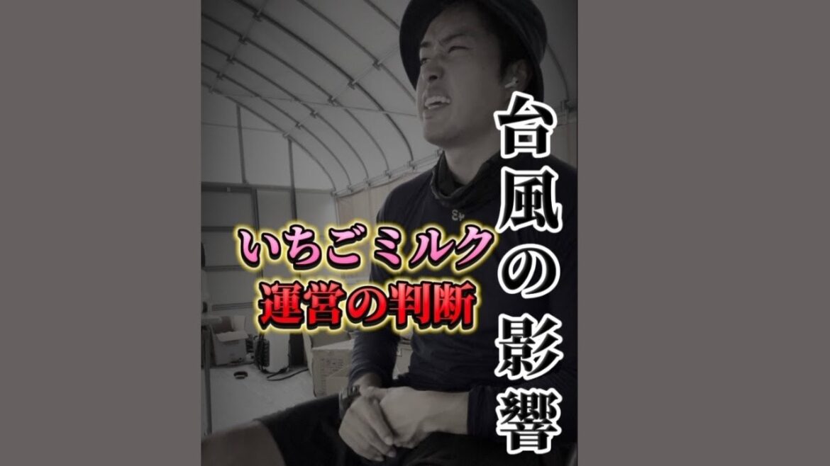 いちごミルク販売日変更のお知らせ！