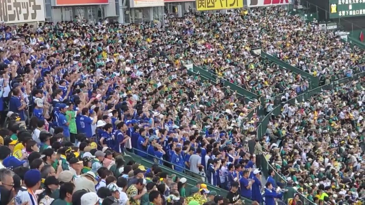 20240728　ここで決めろ しゅんちぇる♪【後藤駿太 応援歌】1回表　中日ﾄﾞﾗｺﾞﾝｽﾞ@阪神甲子園球場･ﾚﾌﾄ外野 ｳﾙ虎の夏2024