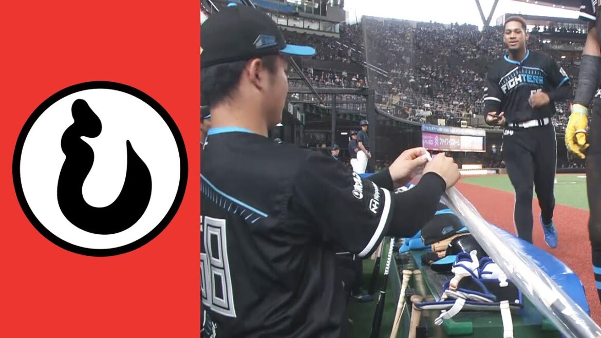 【し】新品開封のワクワク感…なんて言ってる場合ではない【まとめるほどではないまとめ】