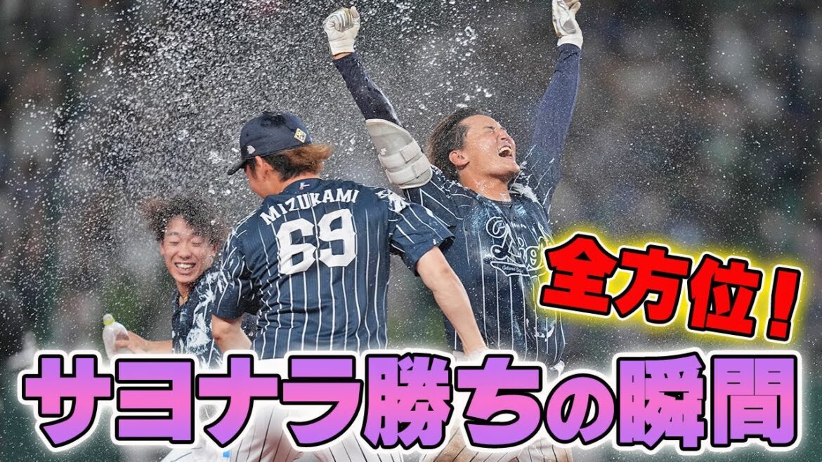 【劇的！大歓喜の逆転サヨナラ！】全方位！サヨナラの瞬間【2024/9/1 L6x-5F】