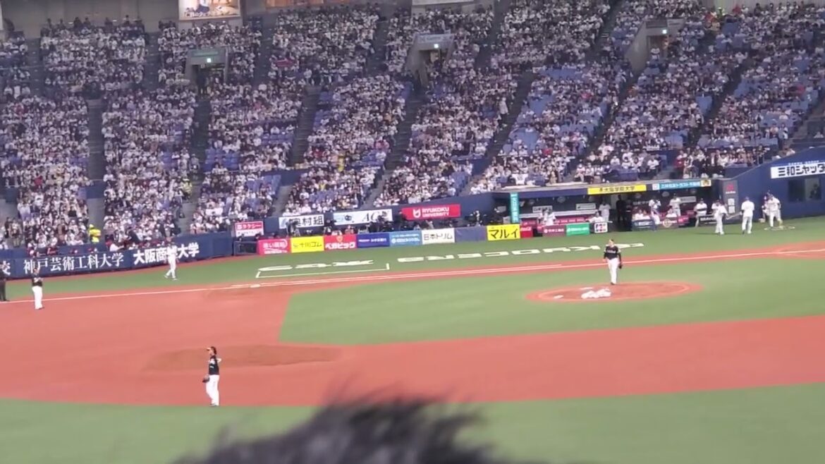 20240329　浪速の豪砲が復活へ！【T－岡田 通常の応援歌】　7回ｳﾗ　ｵﾘｯｸｽ･ﾊﾞﾌｧﾛｰｽﾞ　岡田貴弘@京ｾﾗﾄﾞｰﾑ大阪･ﾚﾌﾄ外野下段 開幕戦