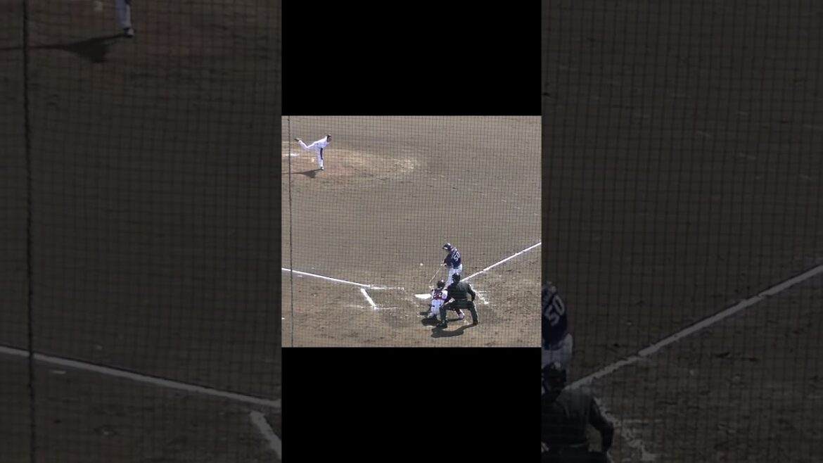 高松渡を三振にとる赤星優志【教育リーグ読売ジャイアンツ対 西武ライオンズ2024年3月10日】 #野球 #プロ野球 #baseball