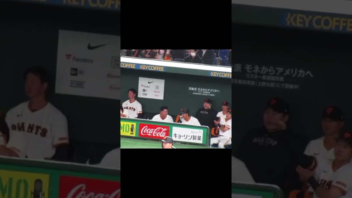 巨人ベンチ 中山礼都と話す浅野翔吾の姿2024年3月19日 読売ジャイアンツ対 千葉ロッテマリーンズ #プロ野球 #野球 #baseball