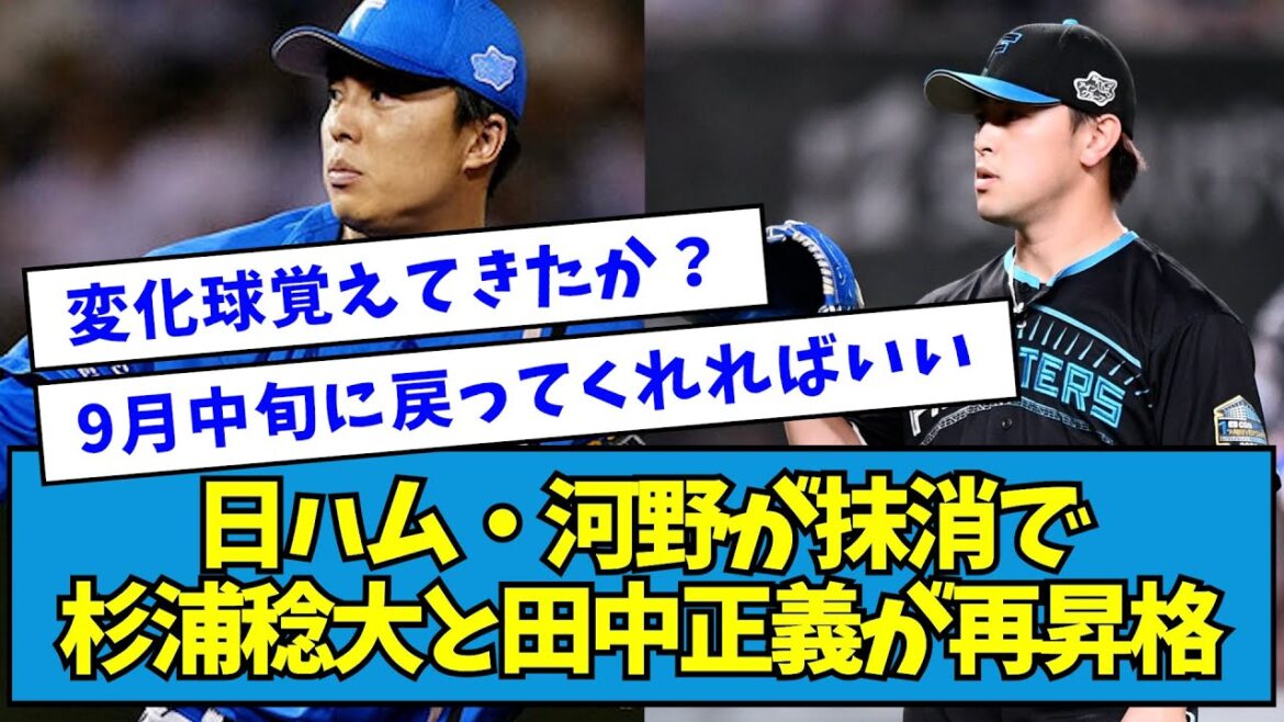 【休んでね】日ハム・河野竜生が抹消で杉浦稔大と田中正義が再昇格【なんJ反応】