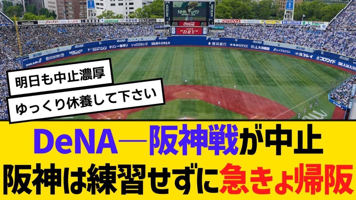 DeNA―阪神戦が試合中止、阪神は練習せずに急きょ帰阪　【ネットの反応】【反応集】