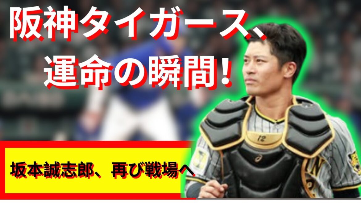 阪神タイガースの選手復帰!チームの運命は変わるのか? 阪神タイガースの選手復帰!チームの運命は変わるのか?
