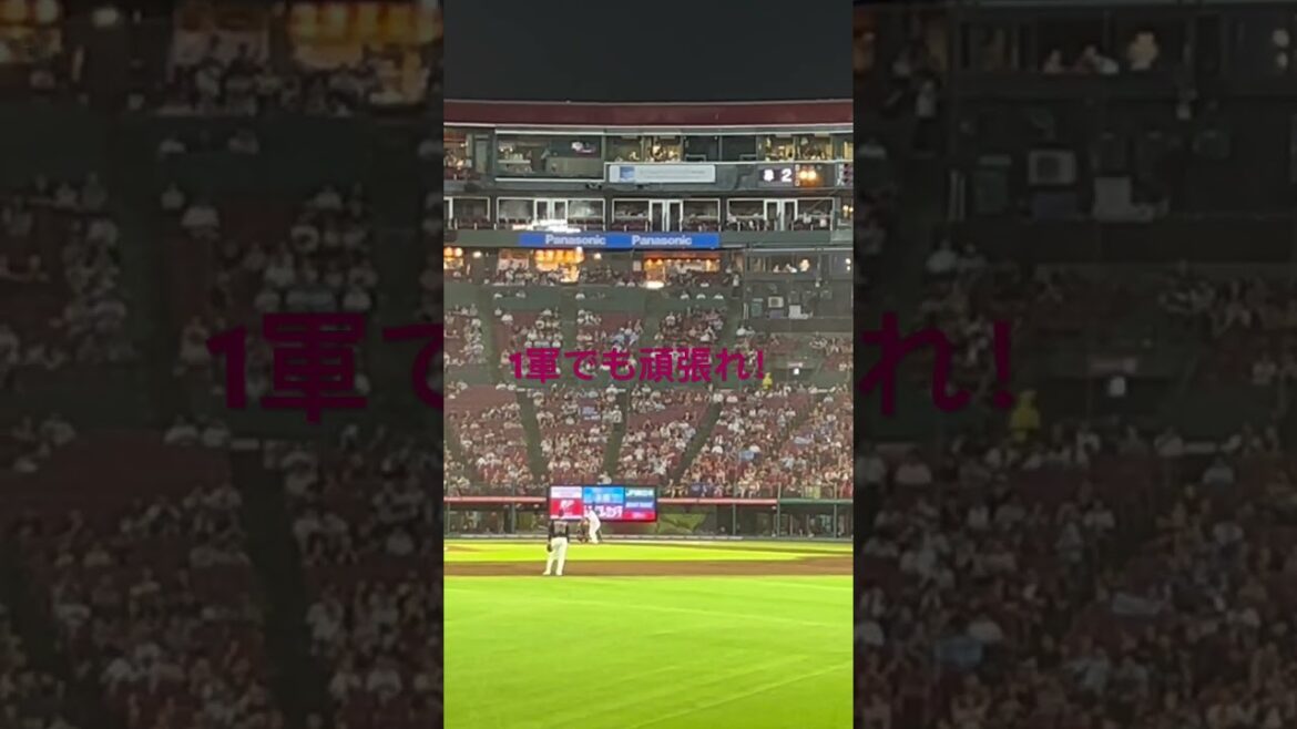 1軍に帰ってきた伊藤裕季也選手！頑張れ！！