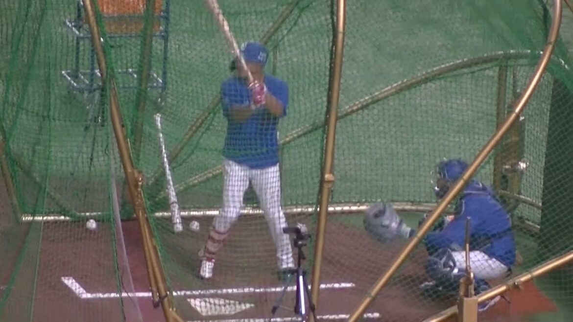 中日 大島洋平のフリーバッティング（2024年8月23日 読売ジャイアンツ 対 中日ドラゴンズ）