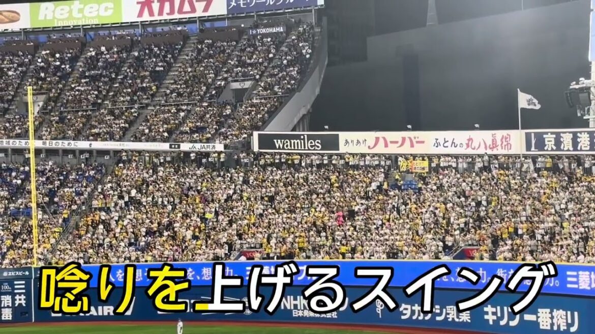【阪神タイガース】渡邉諒 選手応援歌