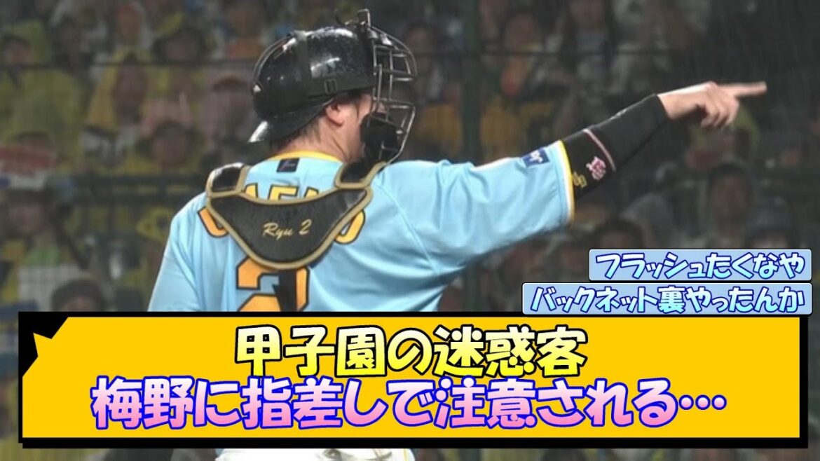 【阪神】甲子園の迷惑客 梅野に指差しで注意される…【なんJ/2ch/5ch/ネット 反応 まとめ/阪神タイガース/岡田監督】
