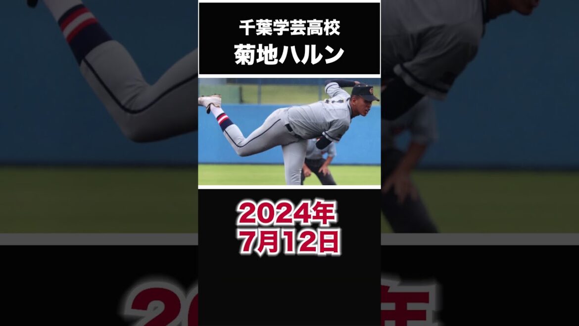 【阪神タイガース】2024年 ドラフト候補！ ＜千葉学芸高校＞ 菊地ハルン 投手 高校生ではトップクラスの本格派右腕か！？パキスタン人のお父さんを持つ身長2メートルの大型右腕！ #shorts