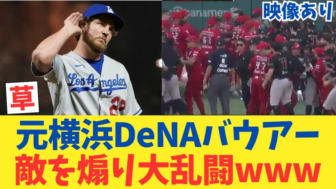 【映像あり】元横浜DeNAベイスターズバウアー、敵チームを煽り大乱闘wwwwwwwwwwww【ネット民反応】【2chスレ】【なんｊ反応】