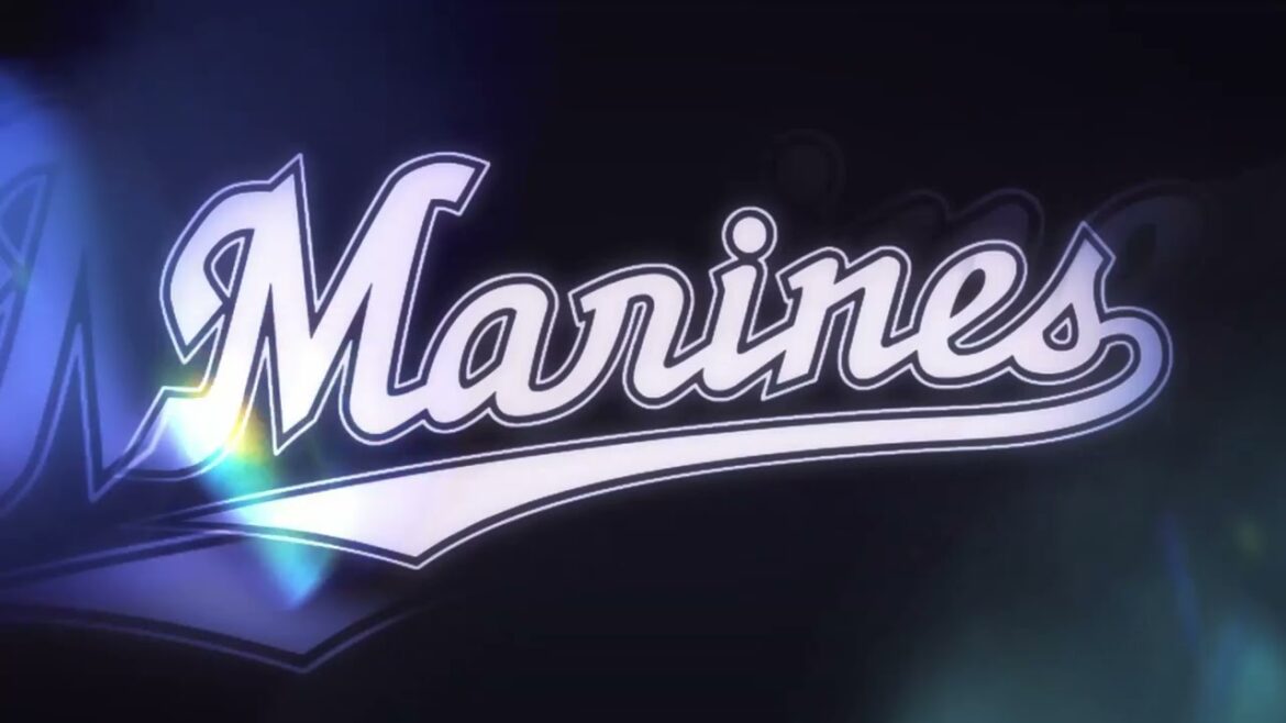 【作業用】小川龍成選手応援歌40分耐久【粘り強く作業する為の動画】