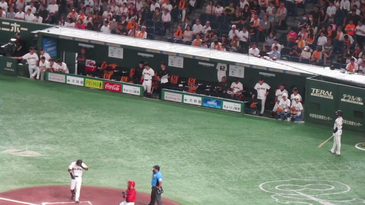 7回 吉川尚輝の打席と巨人ベンチの選手たち（ 読売ジャイアンツ 対 広島カープ 2024年8月22日）