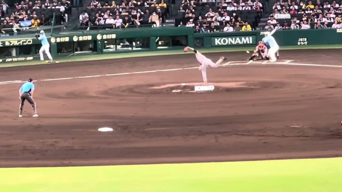 【攻めた猛虎打線】 #中野拓夢 久々安打！#森下翔太 選手が！初回から盛り上がる聖地① 24.9.1.🆚 #読売ジャイアンツ　#阪神甲子園球場