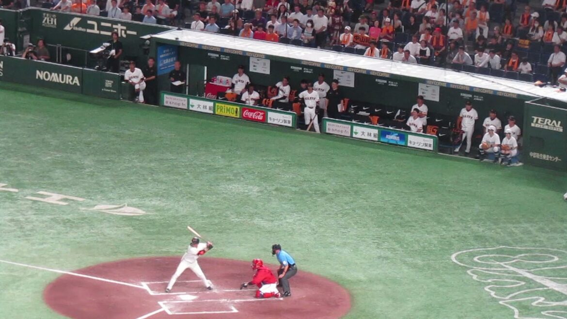 中山礼都ヒットで喜ぶ巨人ベンチ（ 読売ジャイアンツ対 広島カープ 2024年8月6日）