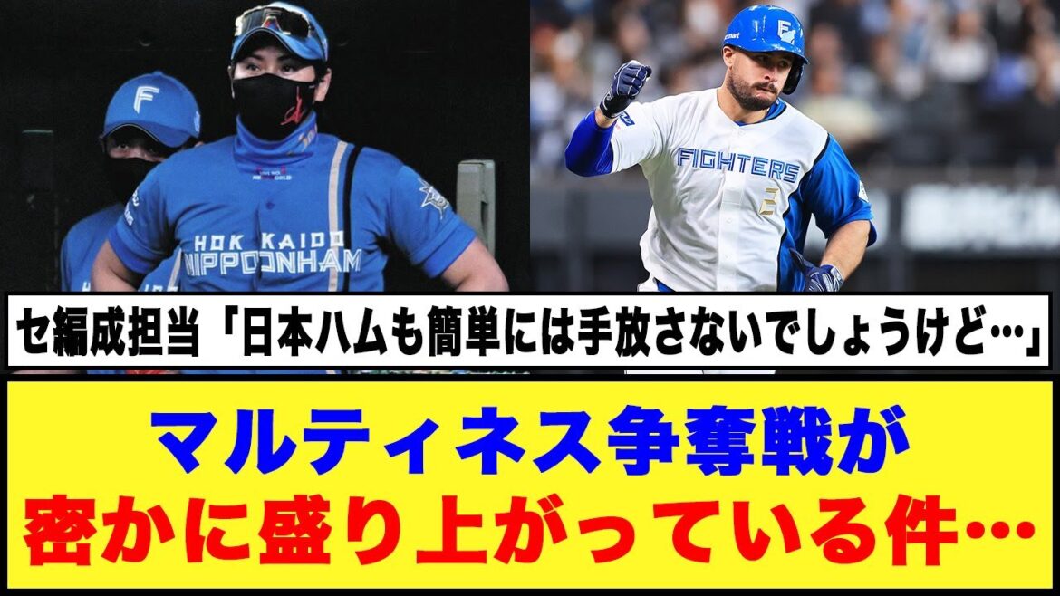 【中日守護神だけじゃない！！】日本ハム「マルティネス」争奪戦が密かに盛り上がっている件…
