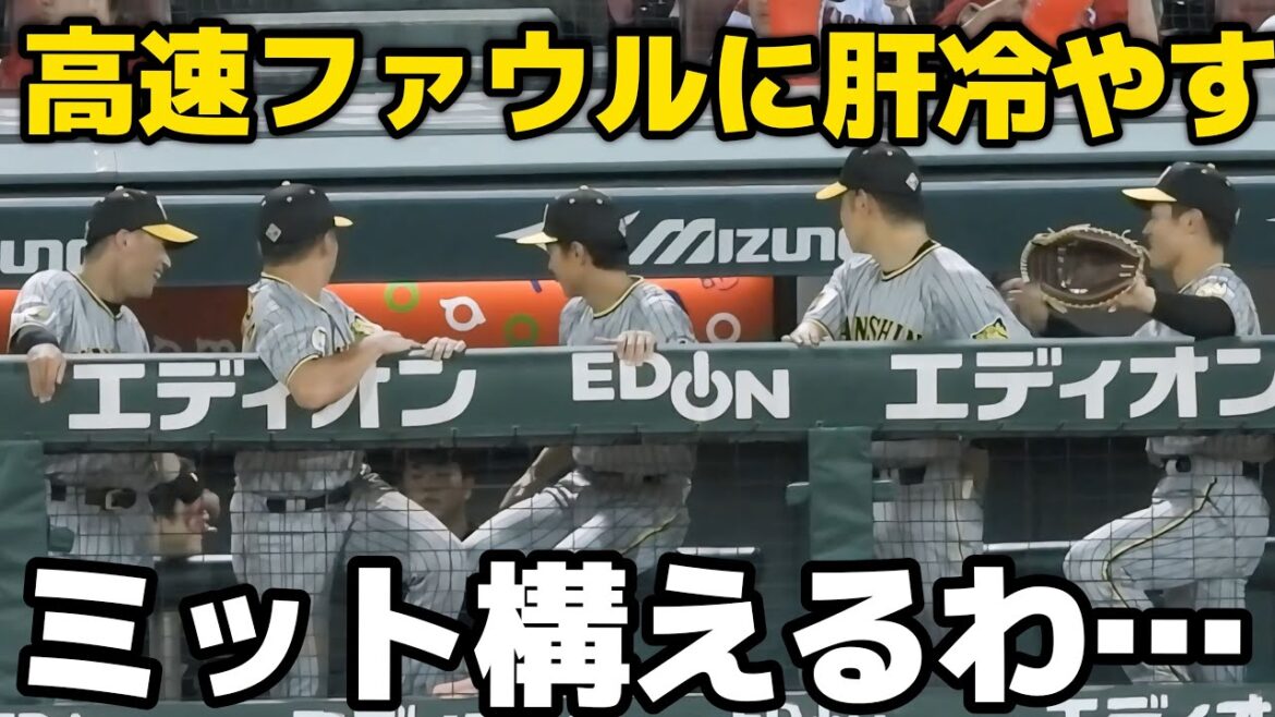 【ガチで危なかった…】近本の超高速ファウルボールがまたも阪神ベンチを襲い肝を冷やす阪神ナイン 2024.8.23
