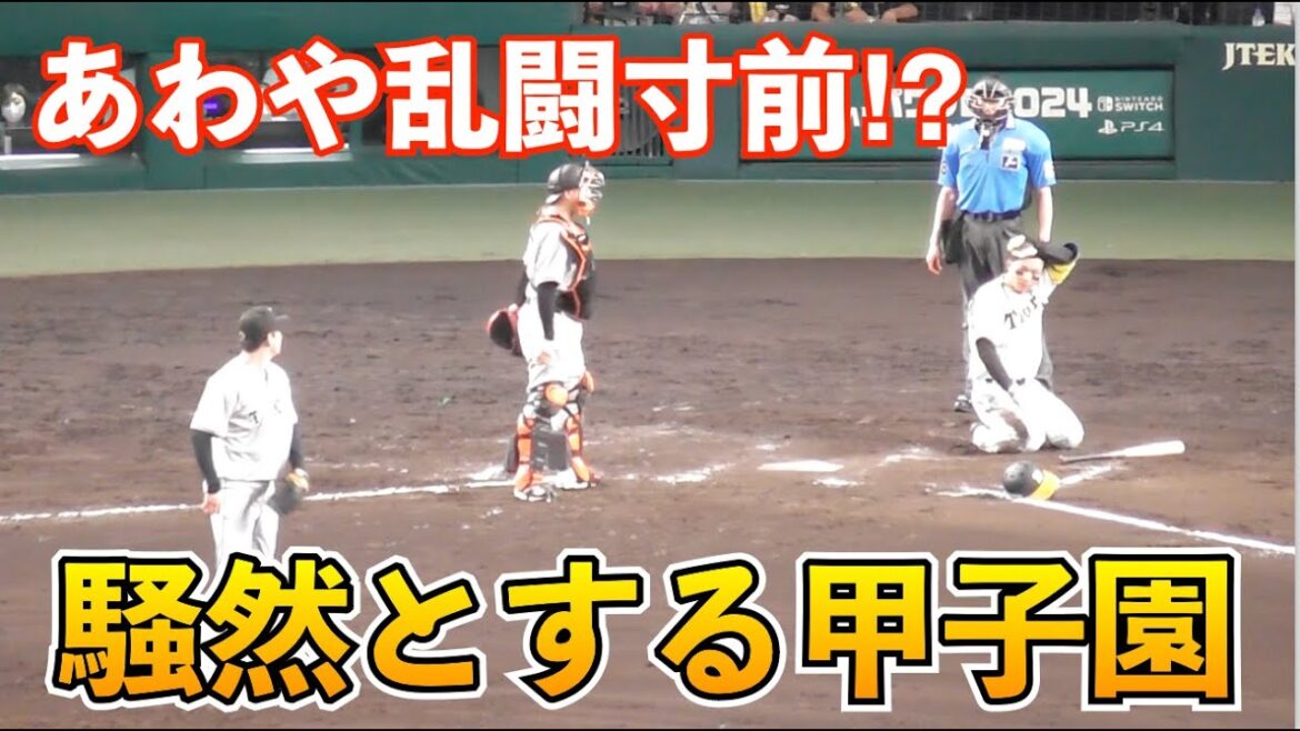 騒然とする甲子園！巨人平内投手,森下選手へ2球続けて顔面付近に場内異様な雰囲気に！巨人vs阪神