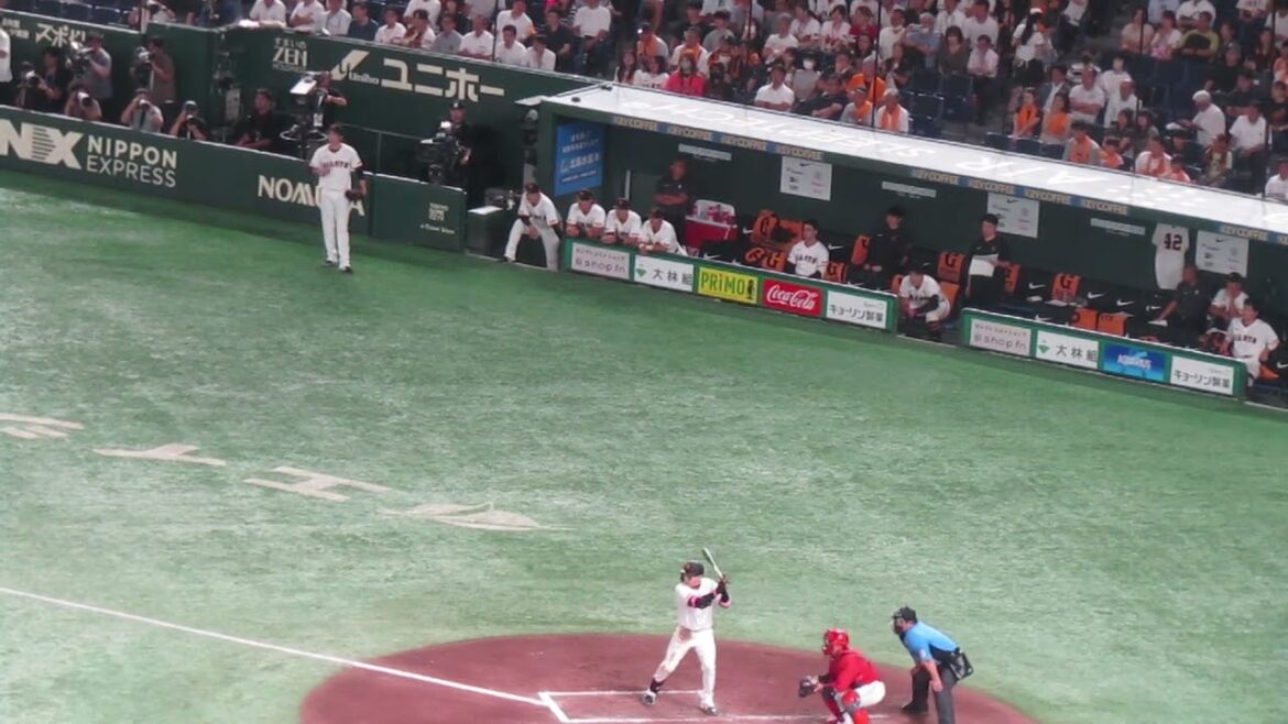 チャンスで丸佳浩とと巨人ベンチの選手たち（ 読売ジャイアンツ 対 広島カープ 2024年8月22日）