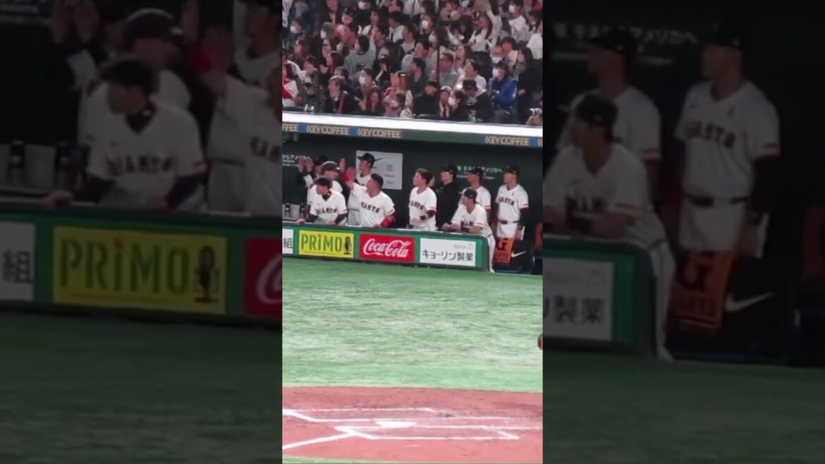 梶谷隆幸のヒットに盛り上がる巨人ベンチ 浅野翔吾など2024年3月19日 読売ジャイアンツ対 千葉ロッテマリーンズ #プロ野球 #スイング #読売ジャイアンツ #野球 #baseball