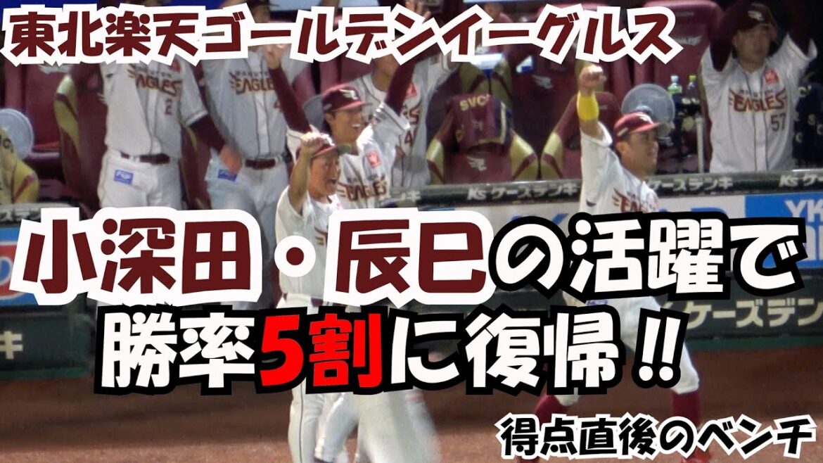 2024 小深田・辰巳の活躍で勝率5割に復帰‼ 現地映像 得点直後のベンチ 【東北楽天ゴールデンイーグルス】 2024 小深田・辰巳の活躍で勝率5割に復帰‼ 現地映像 得点直後のベンチ 【東北楽天ゴールデンイーグルス】