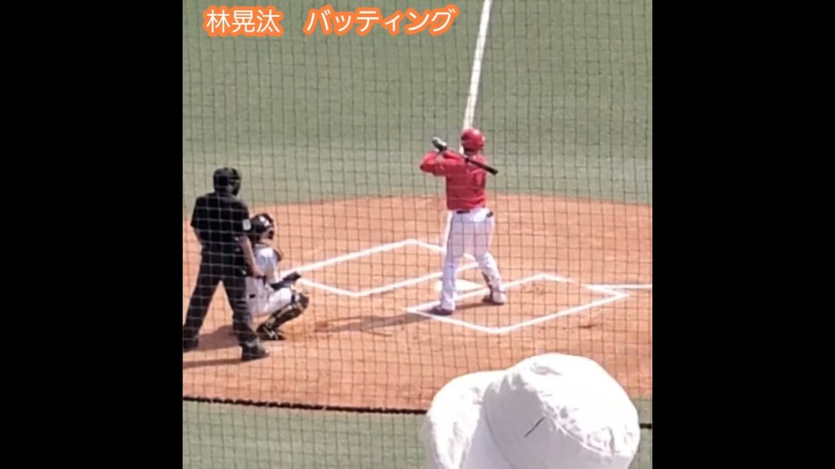 20240419　ﾌｧｰﾑ調整中、林晃汰の#バッティング　#打撃　#バッティング打撃　#応援風景　#shorts@ﾀﾏﾎｰﾑ ｽﾀｼﾞｱﾑ筑後［ｳｴｽﾀﾝ･ﾘｰｸﾞ 2軍戦］ﾀﾏｽﾀ筑後