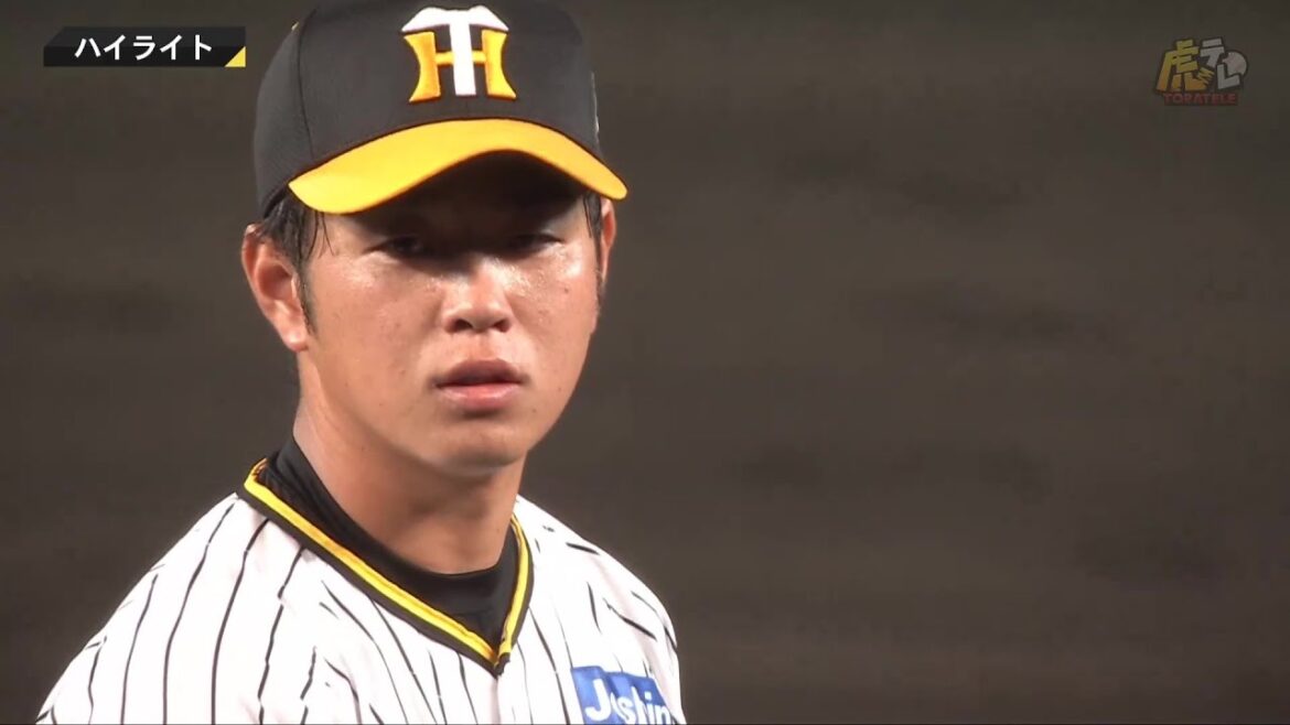 【ハイライト】阪神vs中日【2024/9/3Ｔ－Ｄ】